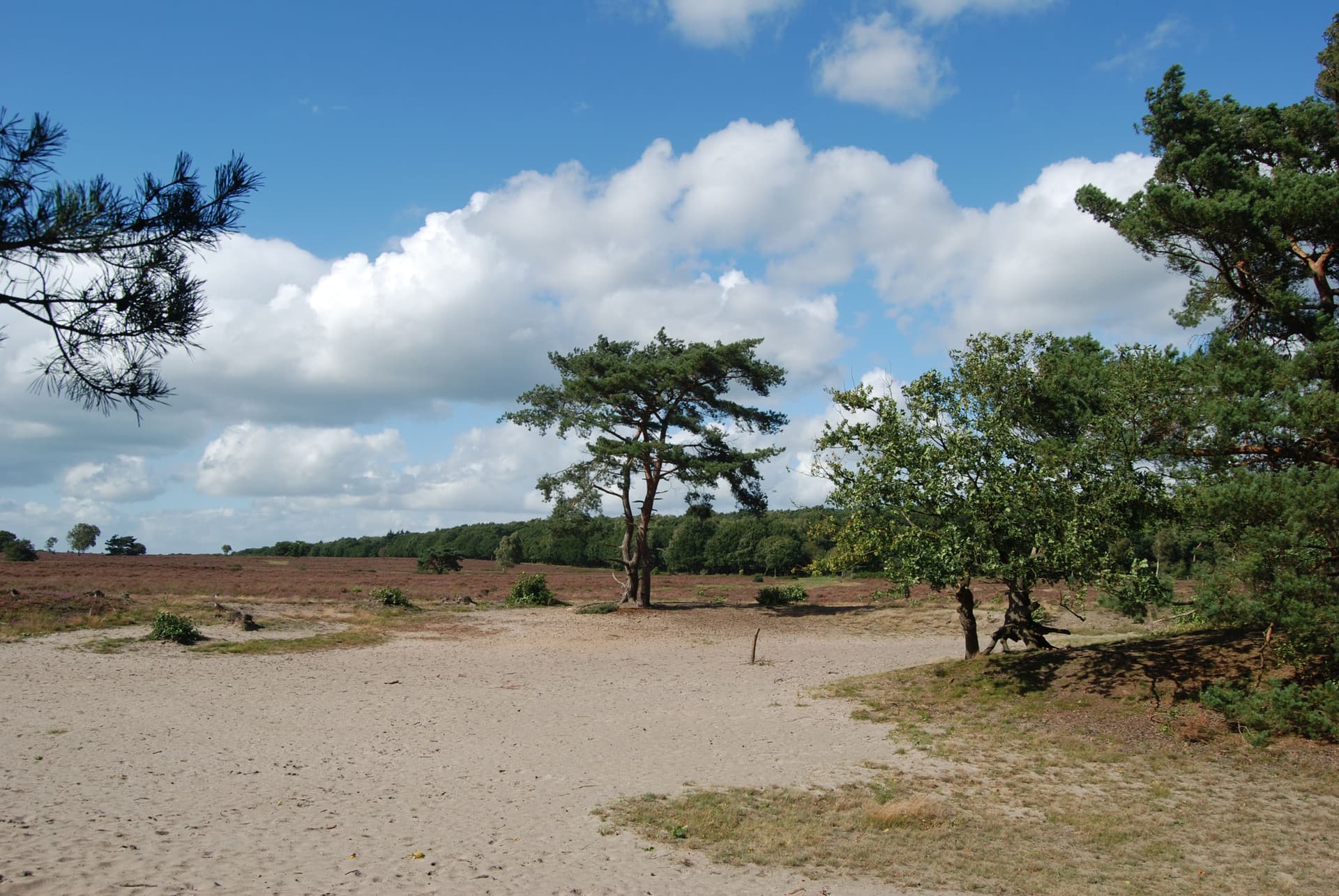 Sport medische keuring via Loopleip
